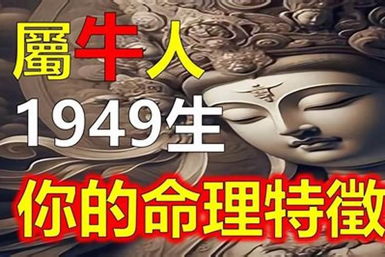 1949年出生的属牛的人是什么命2024