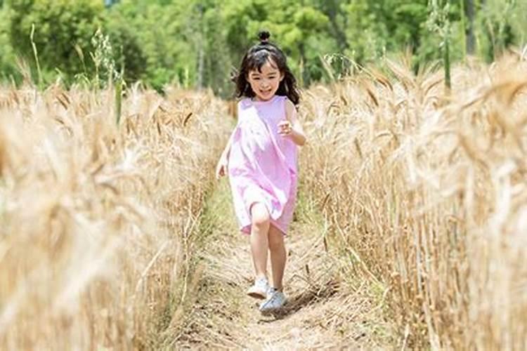 梦见表妹怀孕生子并遇追杀