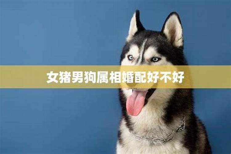 梦见自己拉大便粘到裤子上
