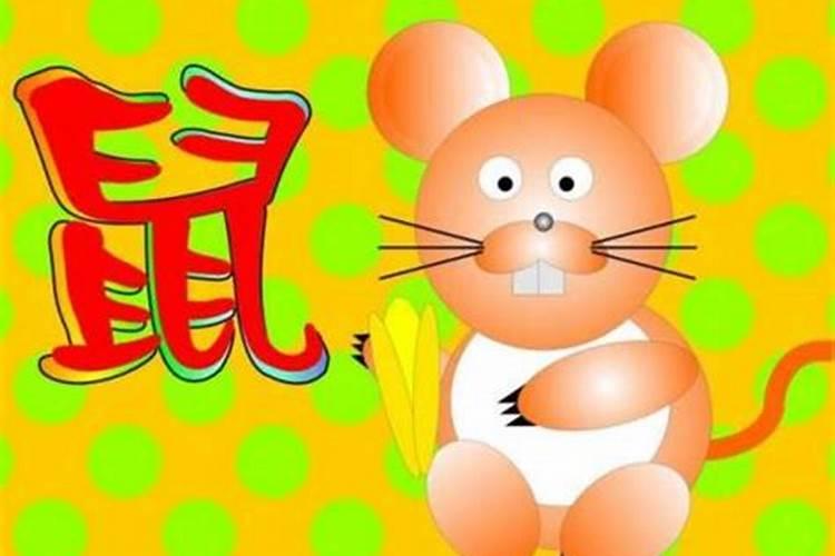 八字婚姻:属鼠和属龙的相配吗 八字合不合财？