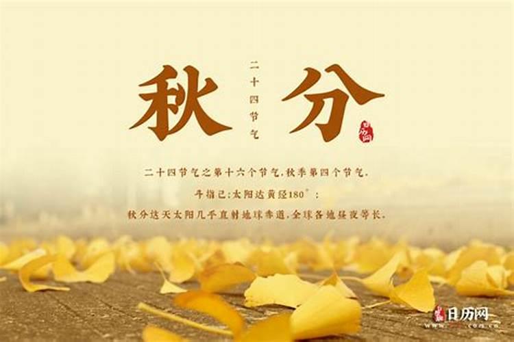 放生日子都是哪一天2025年