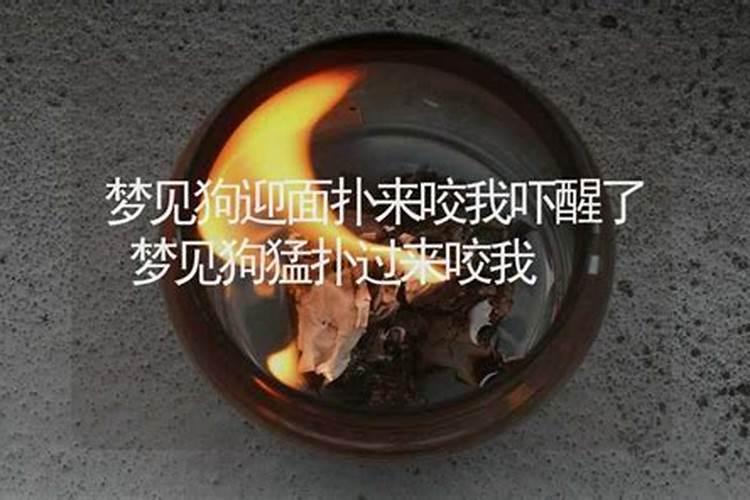 阴历1998年十月初五出生的阳历是多少,星座是什么