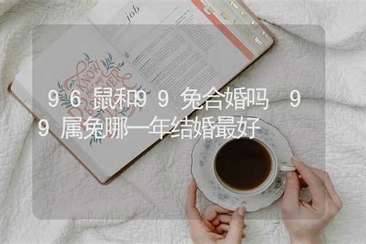 鼠和兔的属相合吗