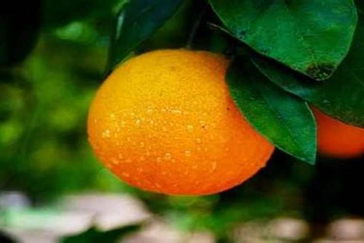 正月可以剪头发吗 农历七月十五可以剪头发吗