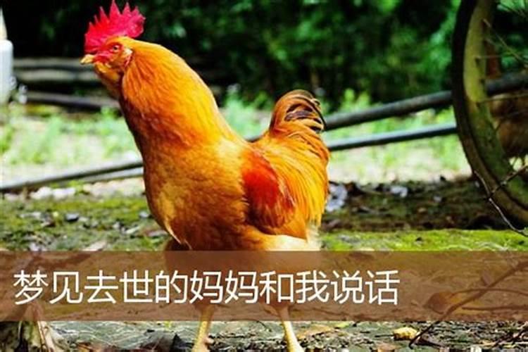 梦见妈妈和我说话有什么预兆？是什么意思？