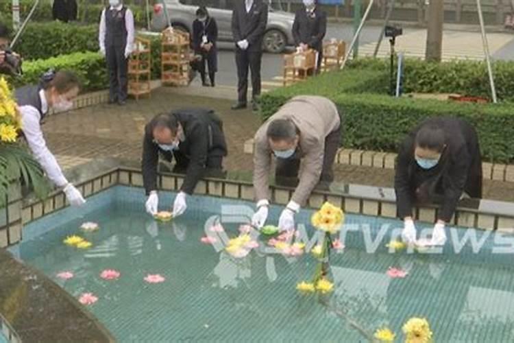 71年猪人2025年运势