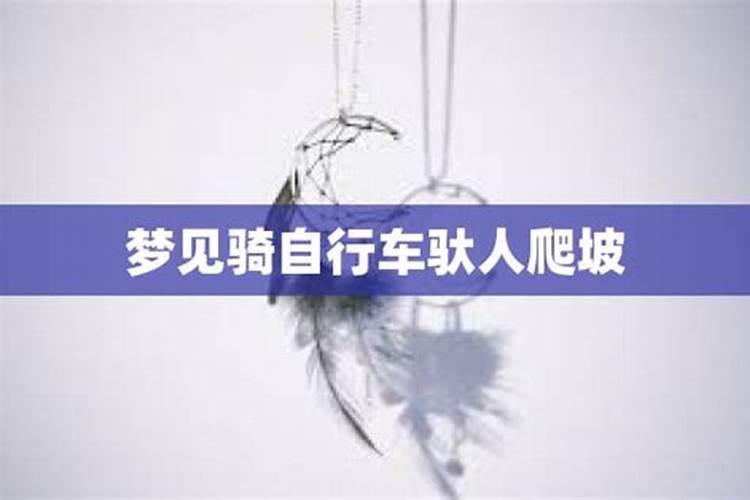 2015年8月25号十二生肖什么冲什么