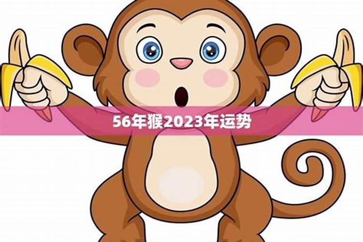 56年属猴人2024年每月运势