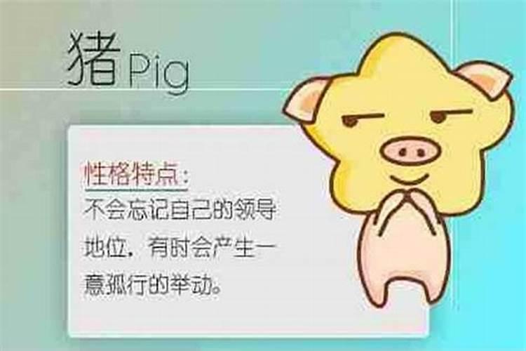 同属猪的合不合,95年属猪男与95年属猪女好不