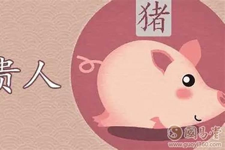属猪的流年运程