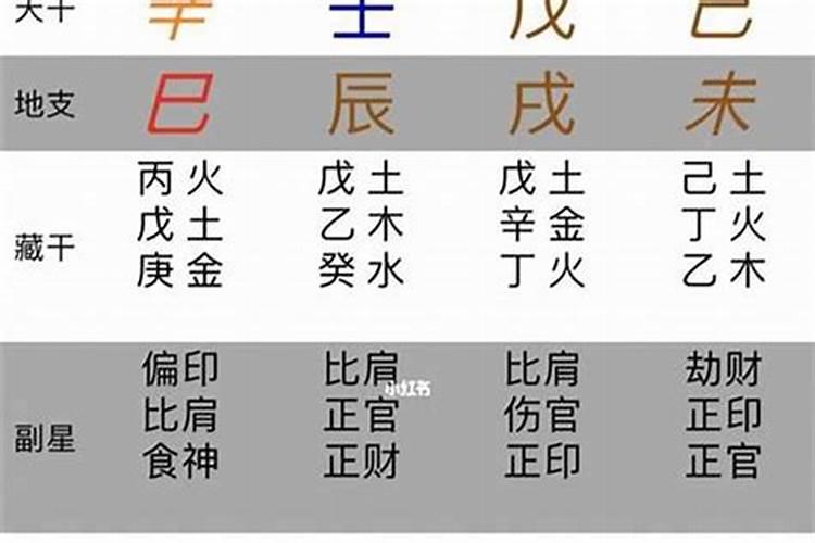 生肖蛇2025年运势及运程如何