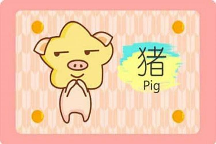 属猪冲太岁怎么化解