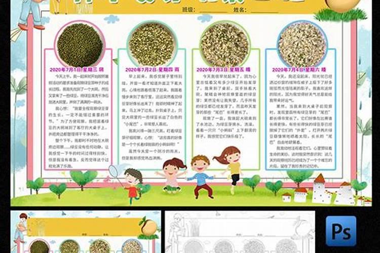 冬至节气日记800字