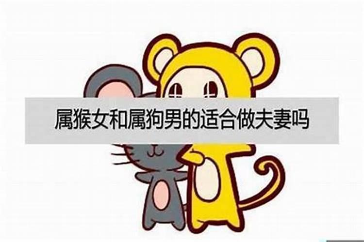 男属猴的属相婚配表 男猴跟女马属相合不合