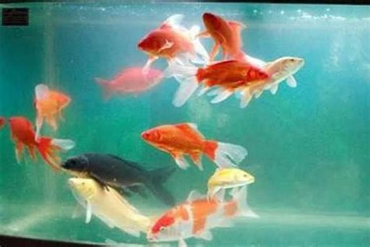 流产后第二个月又人流,会不会对身体造成影响？