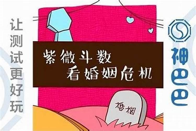 2024几月的猪最有福气