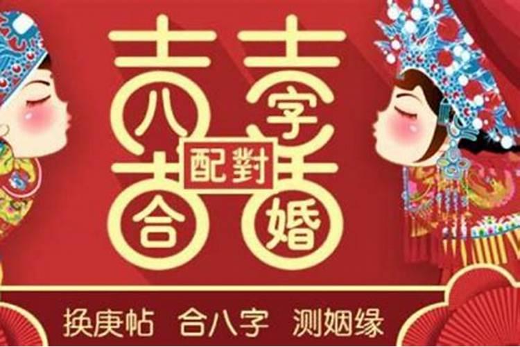 属猪人运气最好的年份