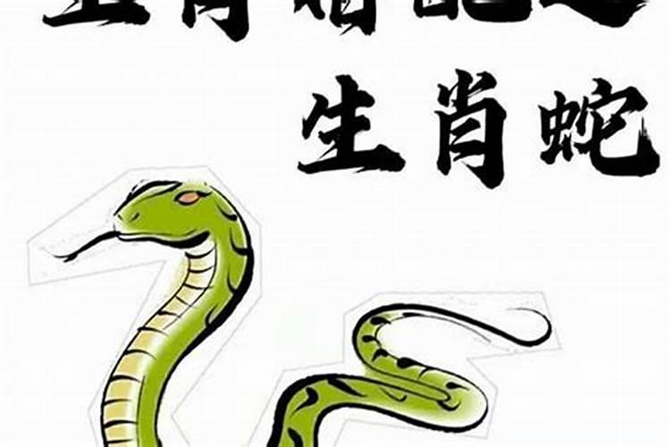 属蛇男娶什么属相最好