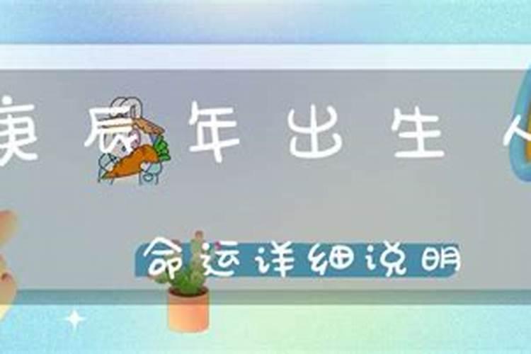 95年过往之猪是什么意思