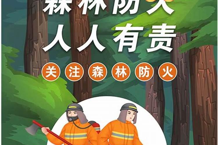 清明节纪事及森林防火安全