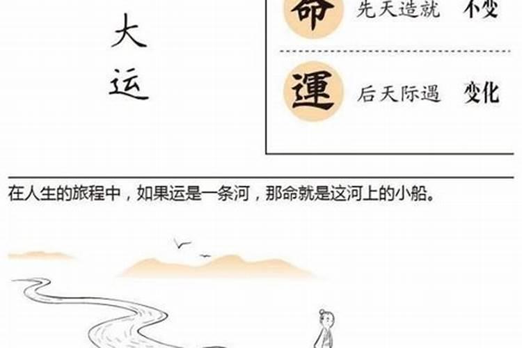 2025年72年属鼠男每月运势如何