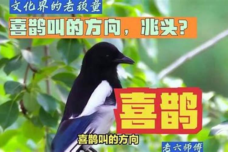 梦见大水大河的预兆