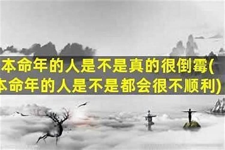 本命年运气反而更好
