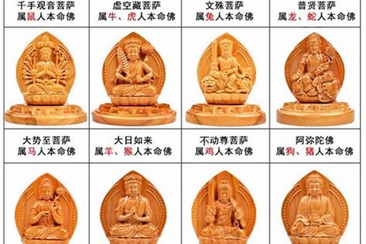 八字中的“大运”与“小运”