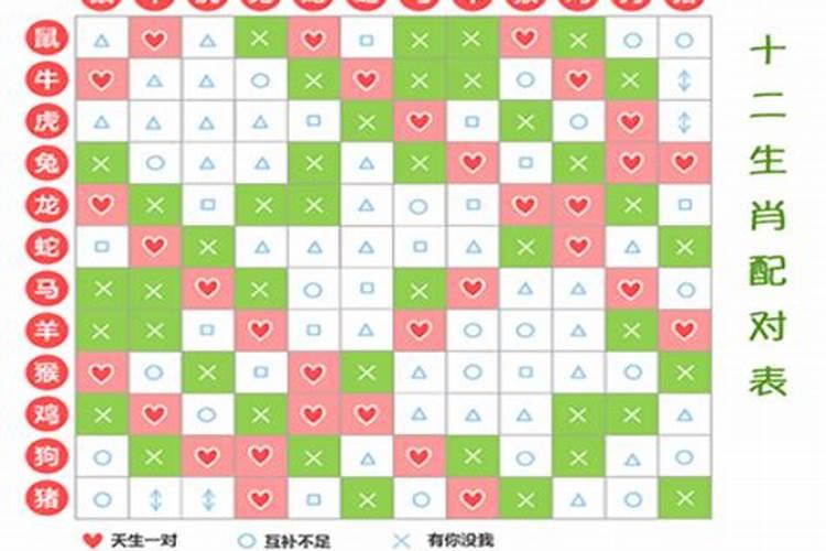 八字小运的作用,八字小运查询