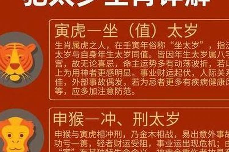 我是1996年二月初八生的是什么命求解答