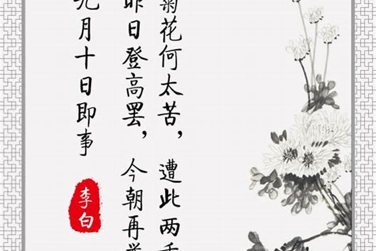 本命年犯太岁什么意思