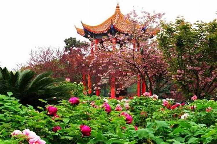 武汉清明节去哪里玩比较好