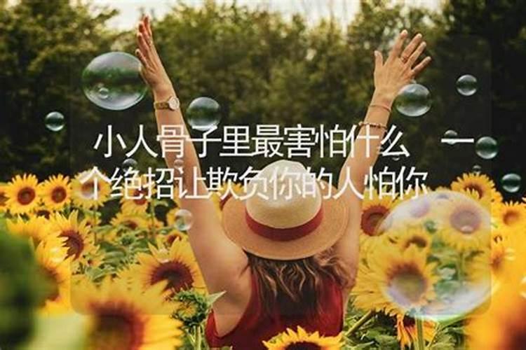 小人最怕什么招对付他
