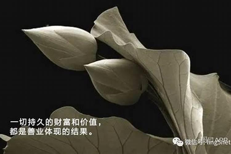 梦见美女投怀送抱预示着什么