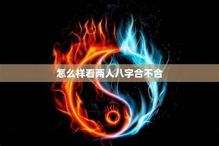 八字不合什么意思