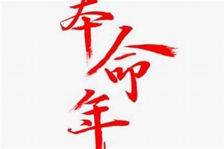 属狗的女人一生是否好命