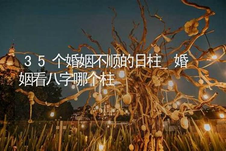 属猪的和什么属相最配最相克