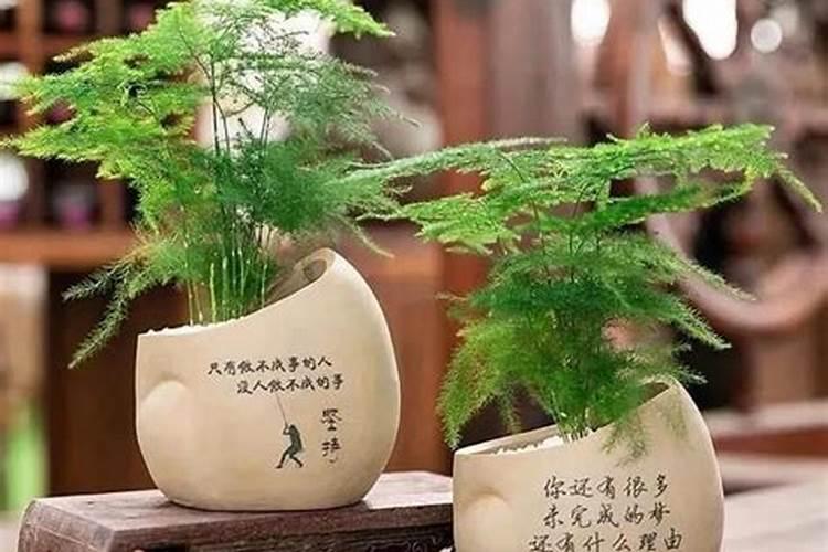 2023年3月15日出生的小孩命运怎么样 农历二月二十四的宝宝八字起名字...