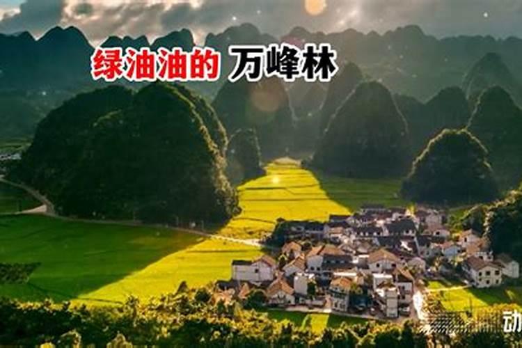 贵州毕节酸菜怎么做
