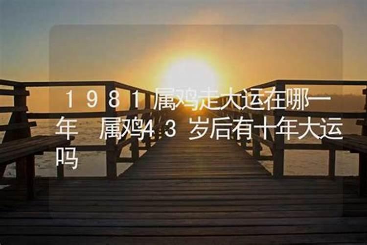 2025年属鸡人全年运势