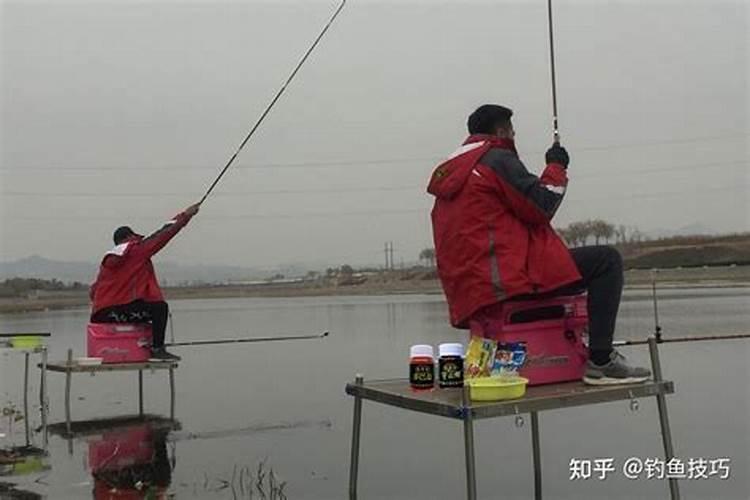 冬至钓鱼应该选择什么样的地方 冬至钓鱼用什么饵料最好