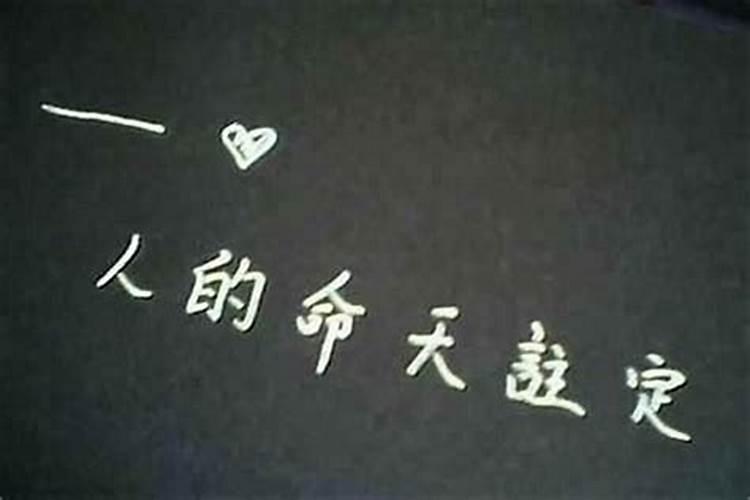 ...怎么办？是否和堕胎有关？听说渡灵阁的超度很灵是真的吗？