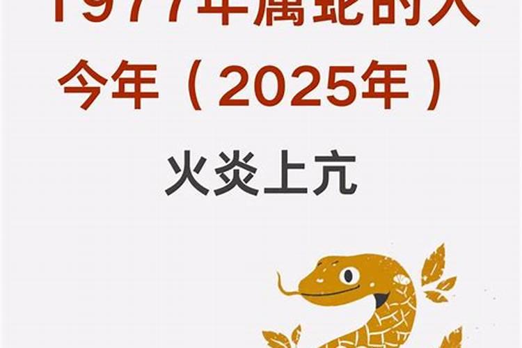 廿四节气中,冬至后面的是什么节气？