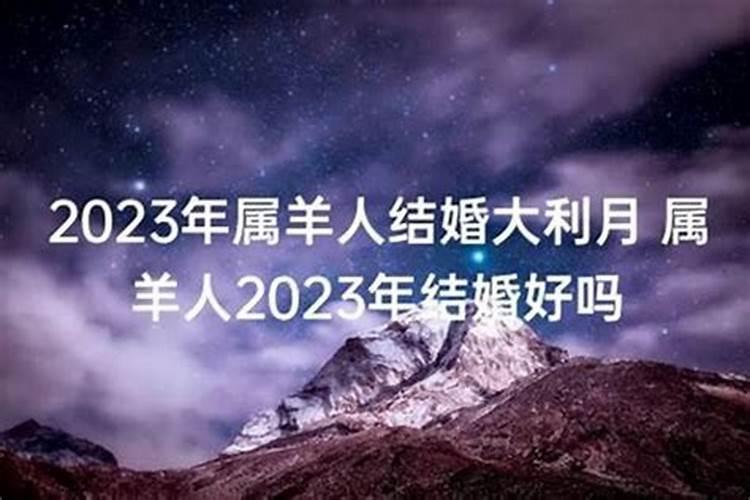 属羊的女人十二月的命好吗,腊月羊女为何不能娶