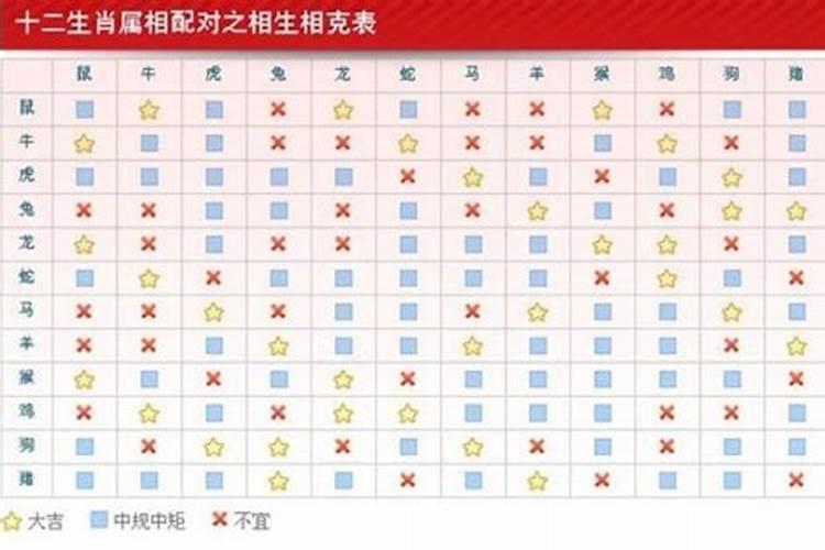 属蛇人一生的运势