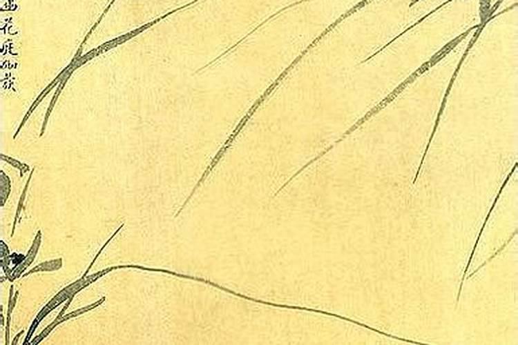 什么是童子命？童子命是怎样的呢？