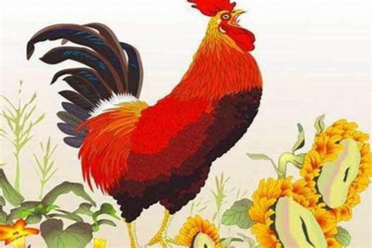 生肖鸡1957年2025年运势如何 生肖鸡1957年2025年全年运势