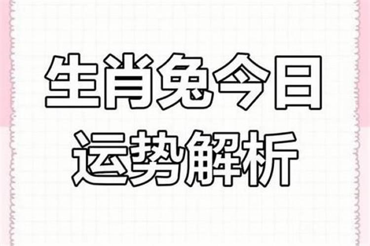 87年兔2025年运势及运程每月运程