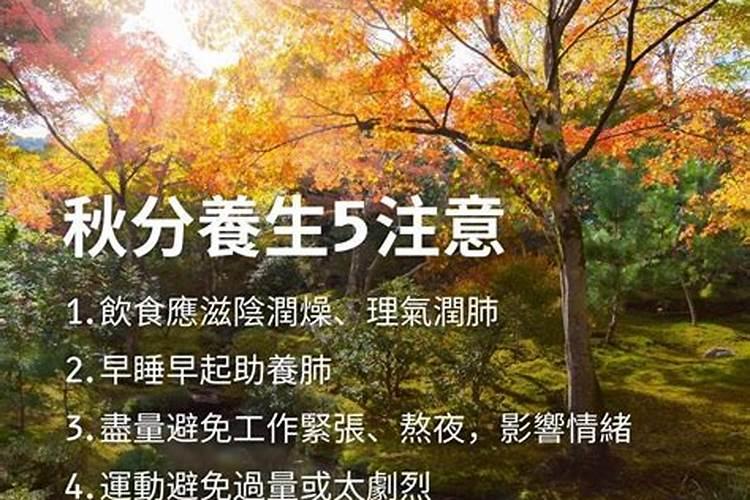 处女座今天运气及本周运气