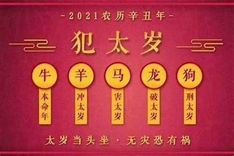 2025年犯太岁属相是哪五个